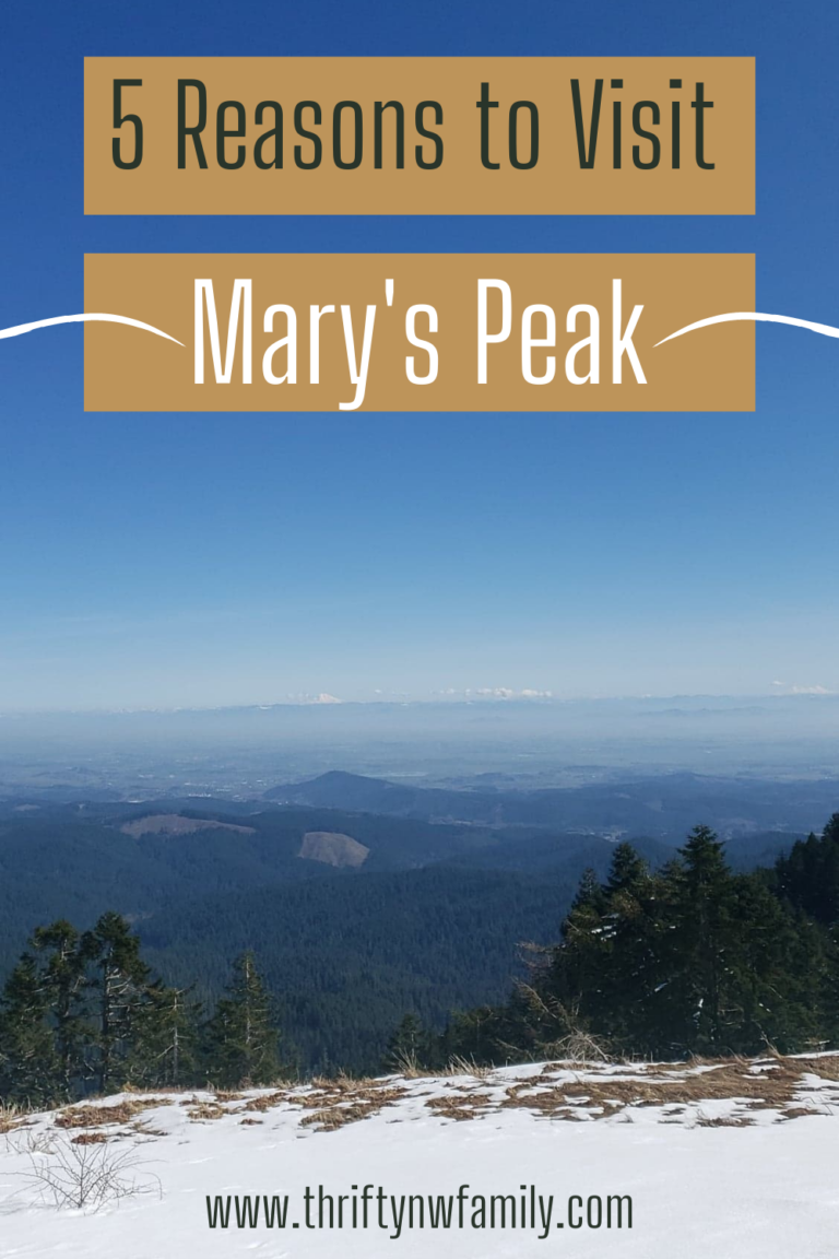 5 Reasons to Visit Mary’s Peak