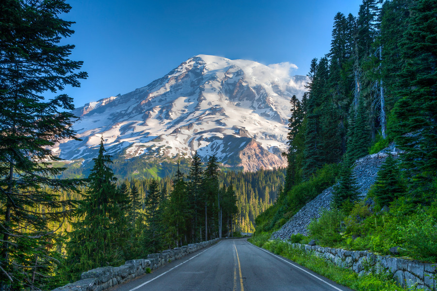 road heading to Mount Rainier