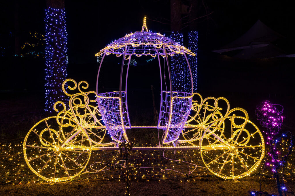 carriage in christmas lights

