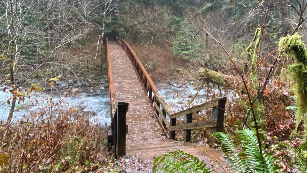 wooden walk bridge over a river