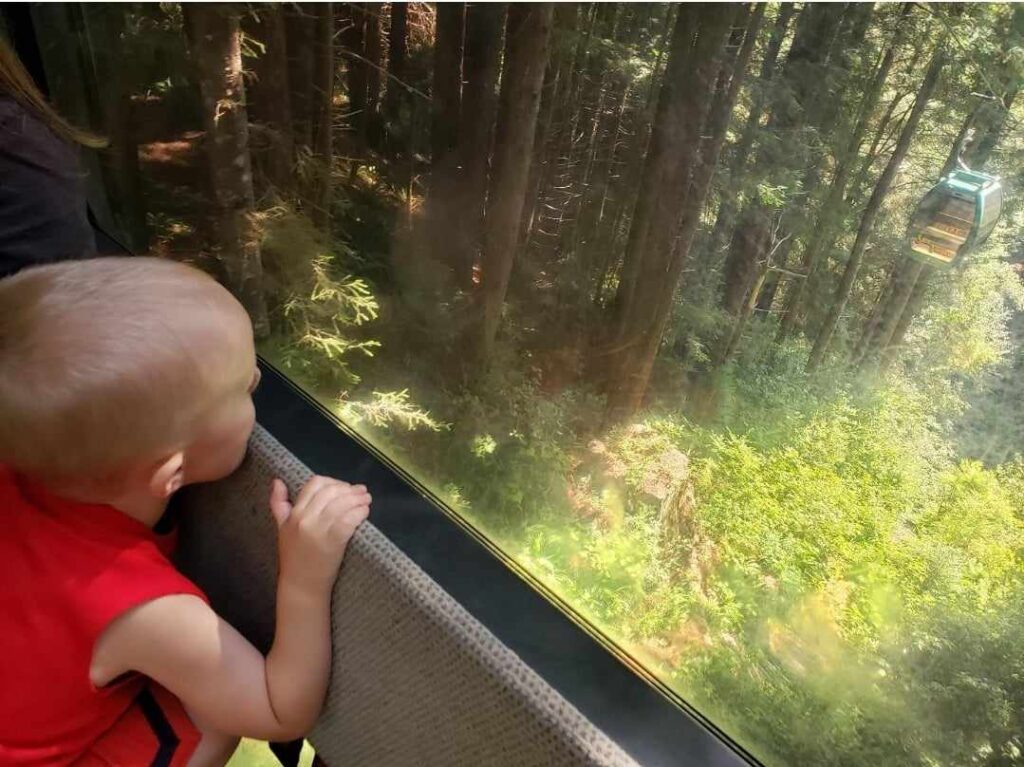 child looking out over trees of mystery sky trail
