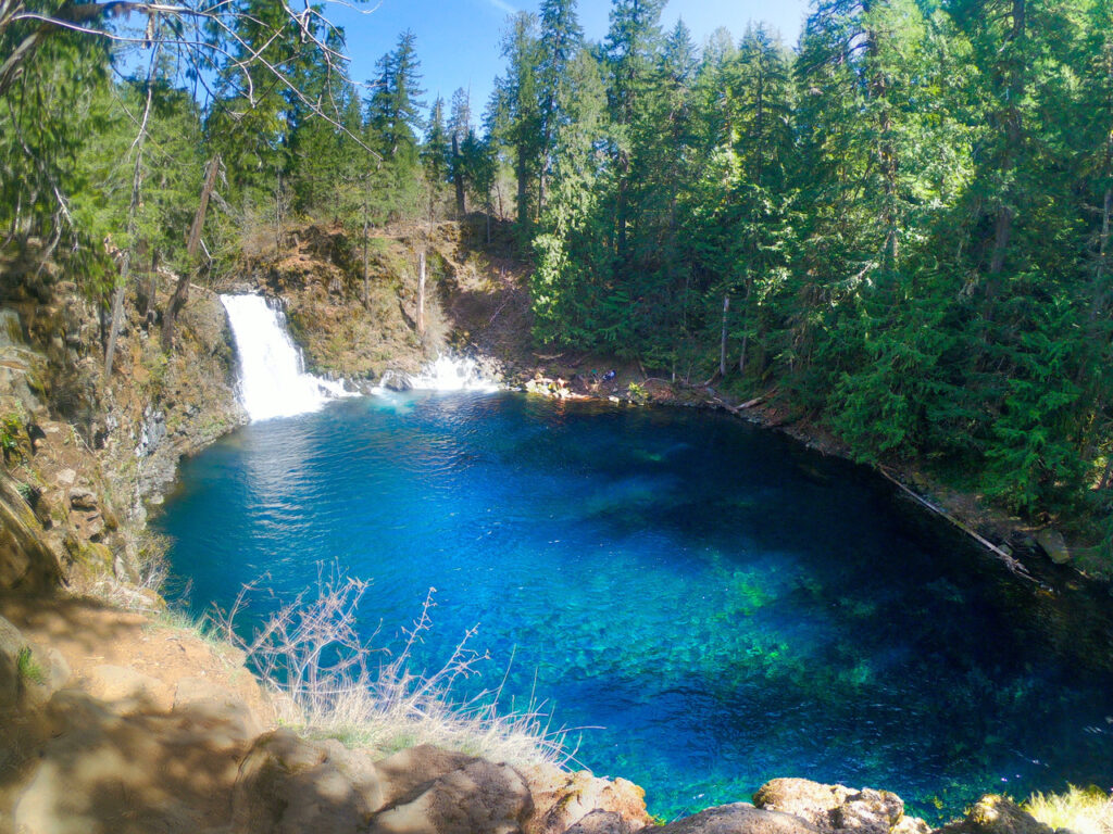 tamolitch falls blue pool
